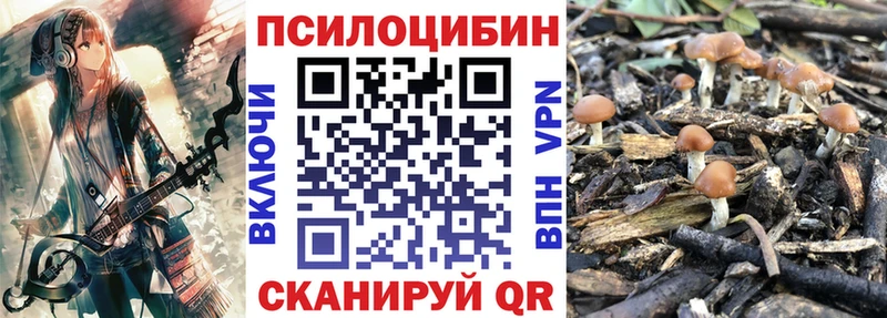 дарк нет наркотические препараты hydra ТОР Шагонар где продают наркотики Псилоцибиновые грибы мицелий